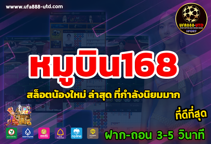 หมูบิน168